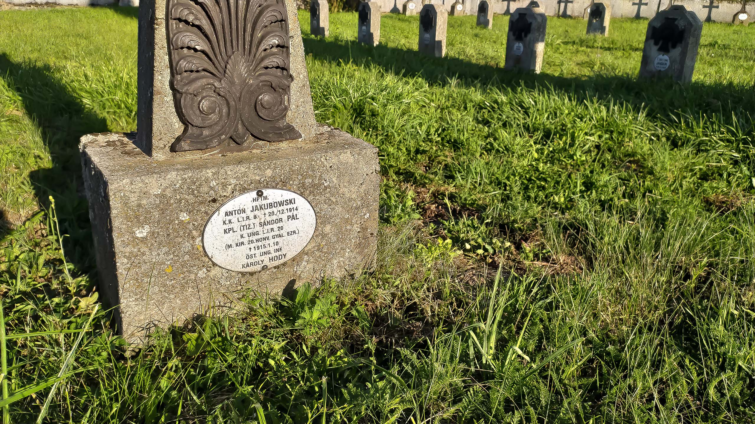 IMG 20200801 181511 kopia